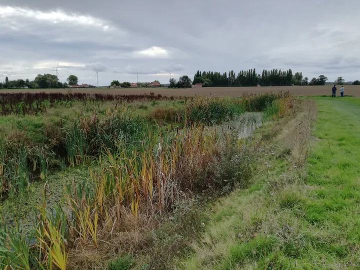 Galgebossen (Poperinge, Elverdinge, Vlamertinge) (Belgie)